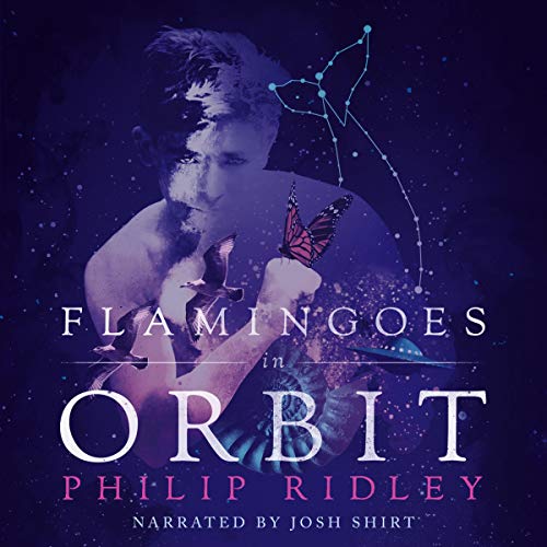 Flamingoes in Orbit Audiolibro Por Philip Ridley arte de portada