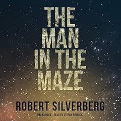 The Man in the Maze cover art