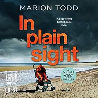 In Plain Sight Audiobook By Marion Todd cover art