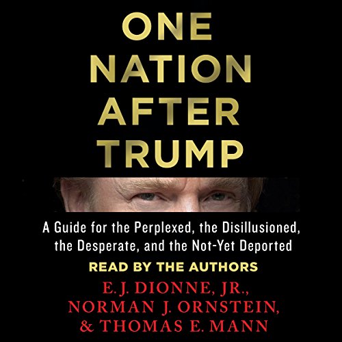 One Nation After Trump cover art