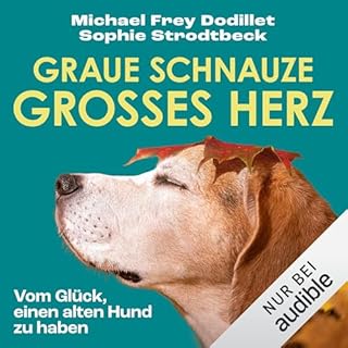 Graue Schnauze, großes Herz Titelbild