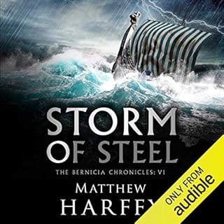 Storm of Steel Audiobook By Matthew Harffy cover art