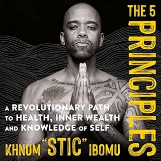 The 5 Principles Audiolibro Por Khnum "Stic" Ibomu arte de portada