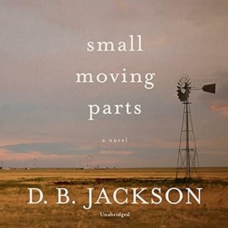 Small Moving Parts Audiobook By D. B. Jackson cover art