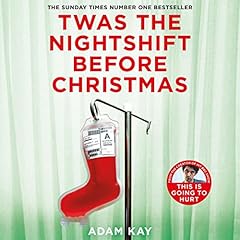 Twas the Nightshift Before Christmas cover art