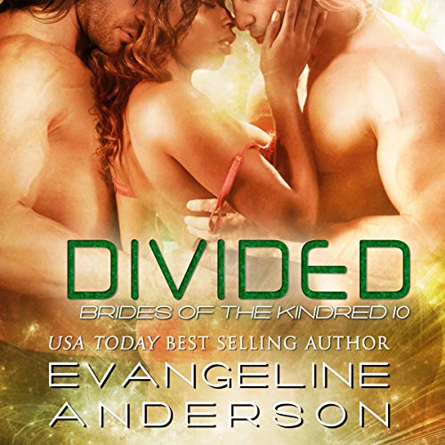 Divided Audiolibro Por Evangeline Anderson arte de portada