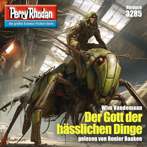 Der Gott der hässlichen Dinge cover art