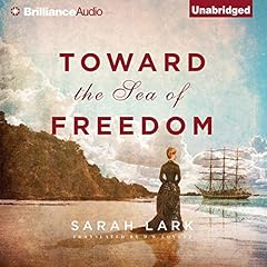 Toward the Sea of Freedom Audiobook By Sarah Lark, D. W. Lovett - translator cover art