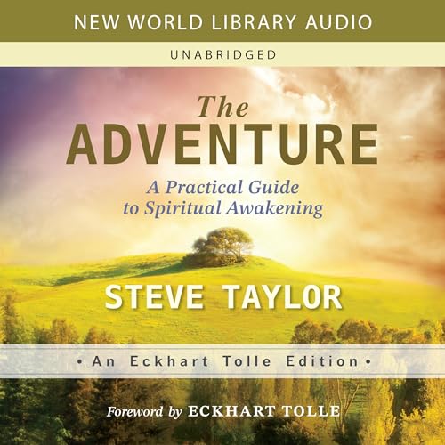 The Adventure Audiolivro Por Steve Taylor, Eckhart Tolle - foreword capa