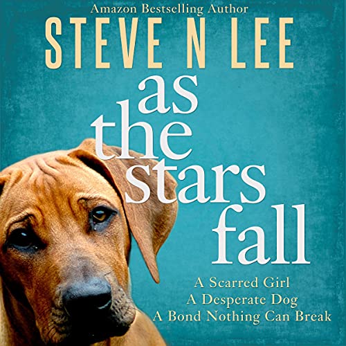 As the Stars Fall Audiobook By Steve N Lee cover art