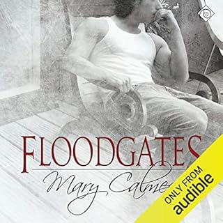 Floodgates Audiobook By Mary Calmes cover art