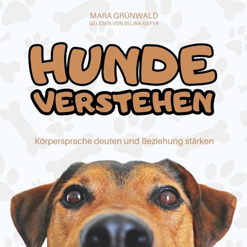 Hunde verstehen Titelbild