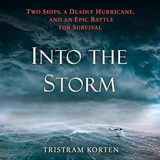 Into the Storm Audiolibro Por Tristram Korten arte de portada