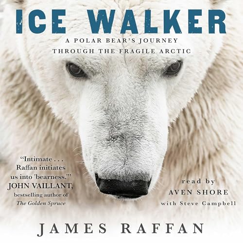 Page de couverture de Ice Walker