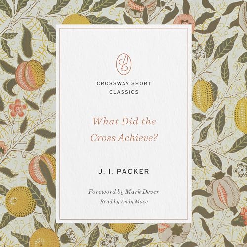 What Did the Cross Achieve? cover art