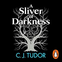 A Sliver of Darkness cover art