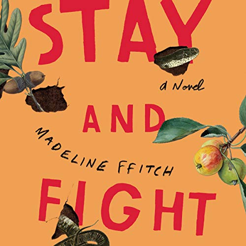 Stay and Fight Audiobook By Madeline Ffitch cover art