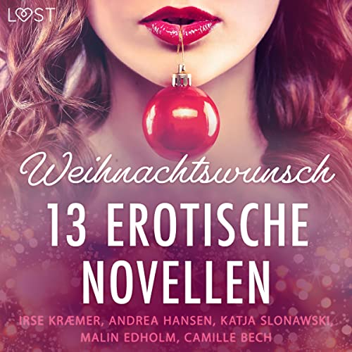 Page de couverture de Weihnachtswunsch - 13 erotische Novellen