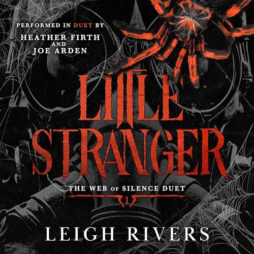 Little Stranger Audiolivro Por Leigh Rivers capa