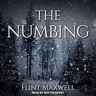 The Numbing Audiolibro Por Flint Maxwell arte de portada