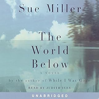 The World Below Audiobook By Sue Miller cover art