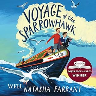 Voyage of the Sparrowhawk cover art