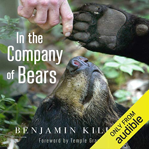 In the Company of Bears Audiobook By Benjamin Kilham cover art