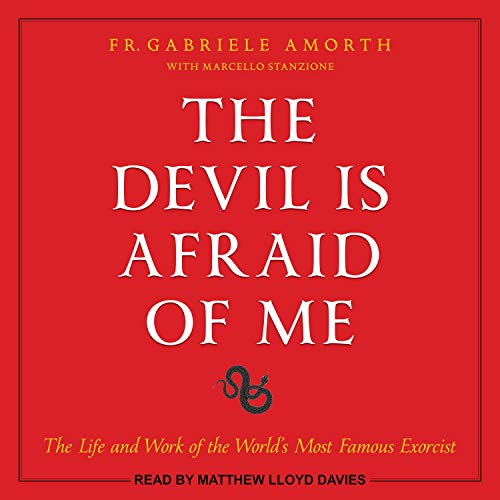 The Devil Is Afraid of Me cover art