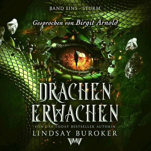 Sturm Audiolibro Por Lindsay Buroker arte de portada