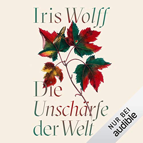 Die Unschärfe der Welt cover art