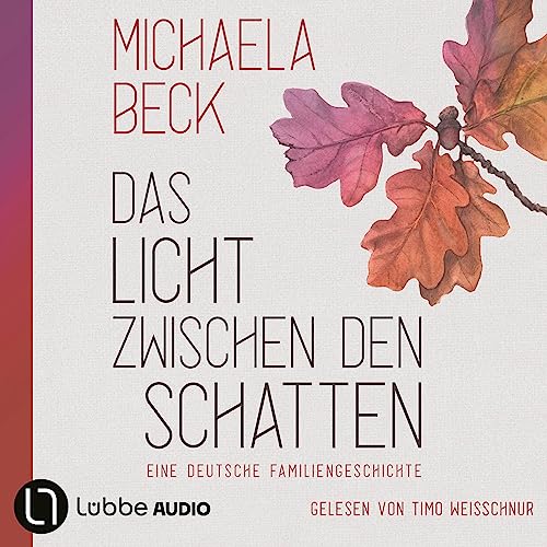 Das Licht zwischen den Schatten cover art