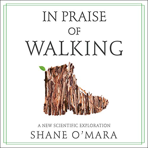 In Praise of Walking Audiolibro Por Shane O'Mara arte de portada