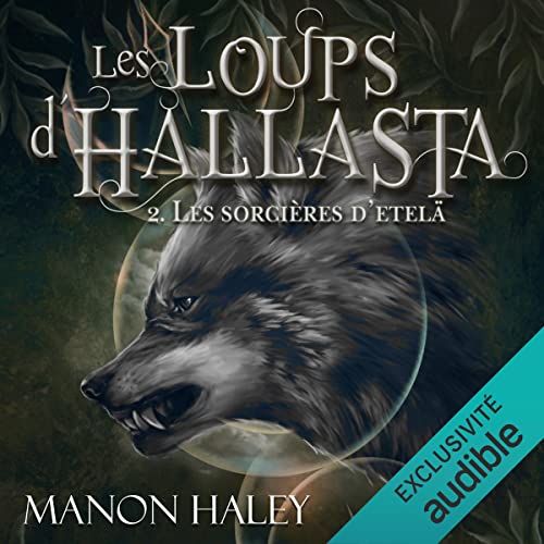 Les sorcières d'Etelä cover art