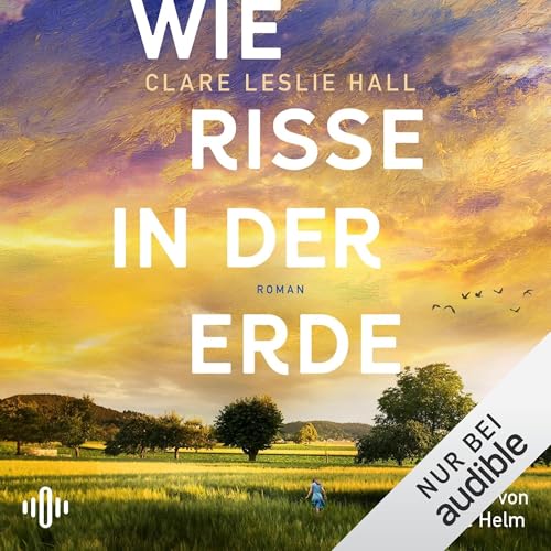 Couverture de Wie Risse in der Erde