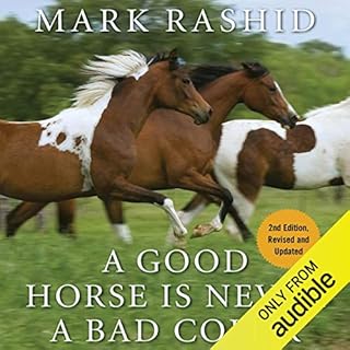 A Good Horse Is Never a Bad Color cover art