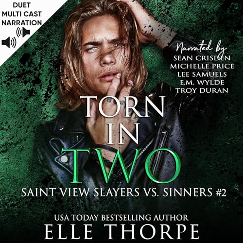 Torn in Two Audiolivro Por Elle Thorpe capa