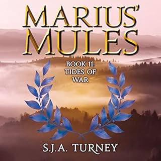 Tides of War Audiobook By S. J. A. Turney cover art