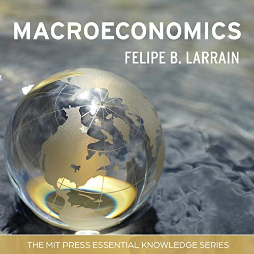 Macroeconomics Audiobook By Felipe B. Larrain cover art