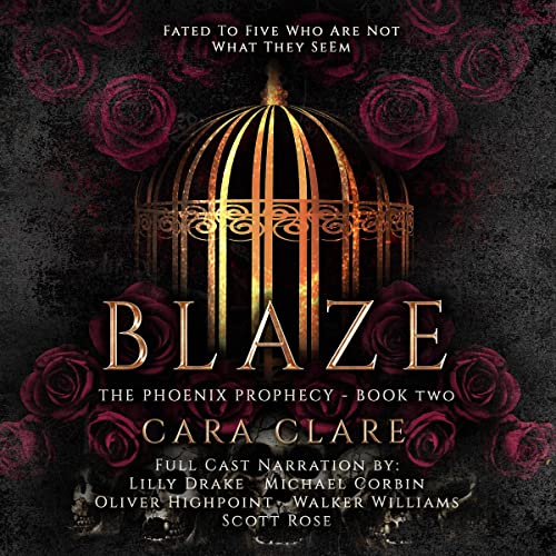 Blaze cover art