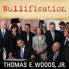 Nullification cover art