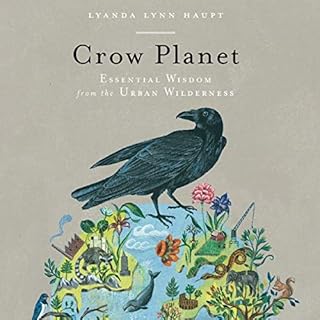 Crow Planet Audiolibro Por Lyanda Lynn Haupt arte de portada