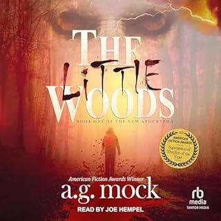 The Little Woods Audiobook By A.G. Mock cover art