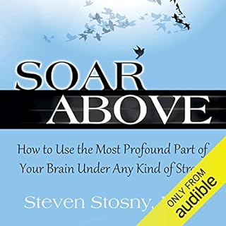 Soar Above Audiolibro Por Steven Stosny PhD arte de portada