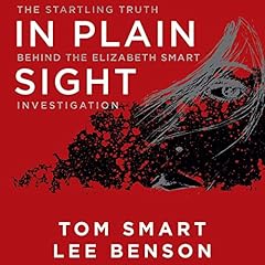 In Plain Sight cover art