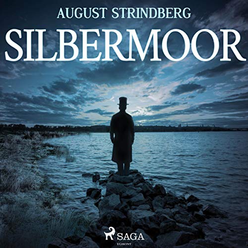 Das Silbermoor cover art