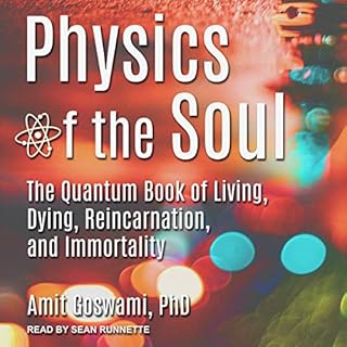 Physics of the Soul Audiobook By Amit Goswami cover art