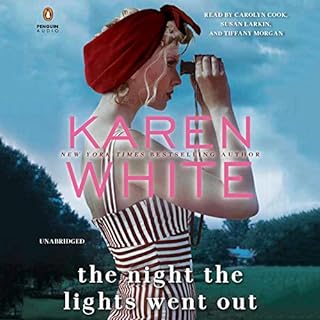 The Night the Lights Went Out Audiobook By Karen White cover art