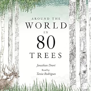 Around the World in 80 Trees Audiolibro Por Jonathan Drori, Lucille Clerc arte de portada