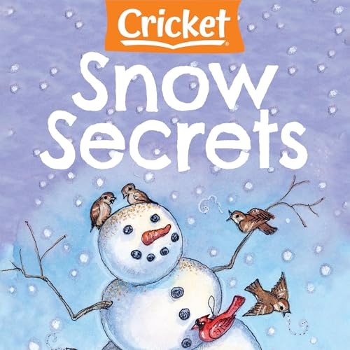 Snow Secrets Audiobook By Nancy Edwards cover art