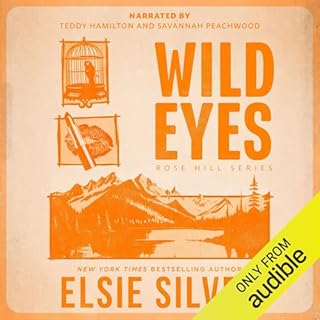 Wild Eyes Audiobook By Elsie Silver cover art